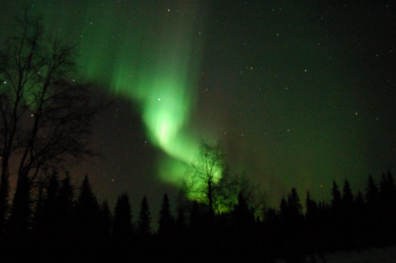 Uuttu Villa Kuusamo