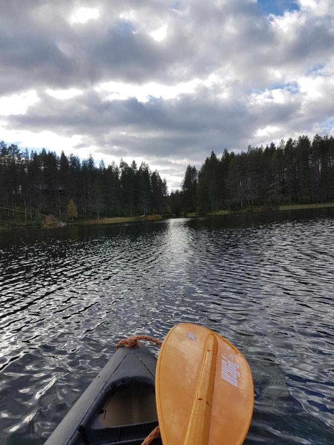 Uuttu *