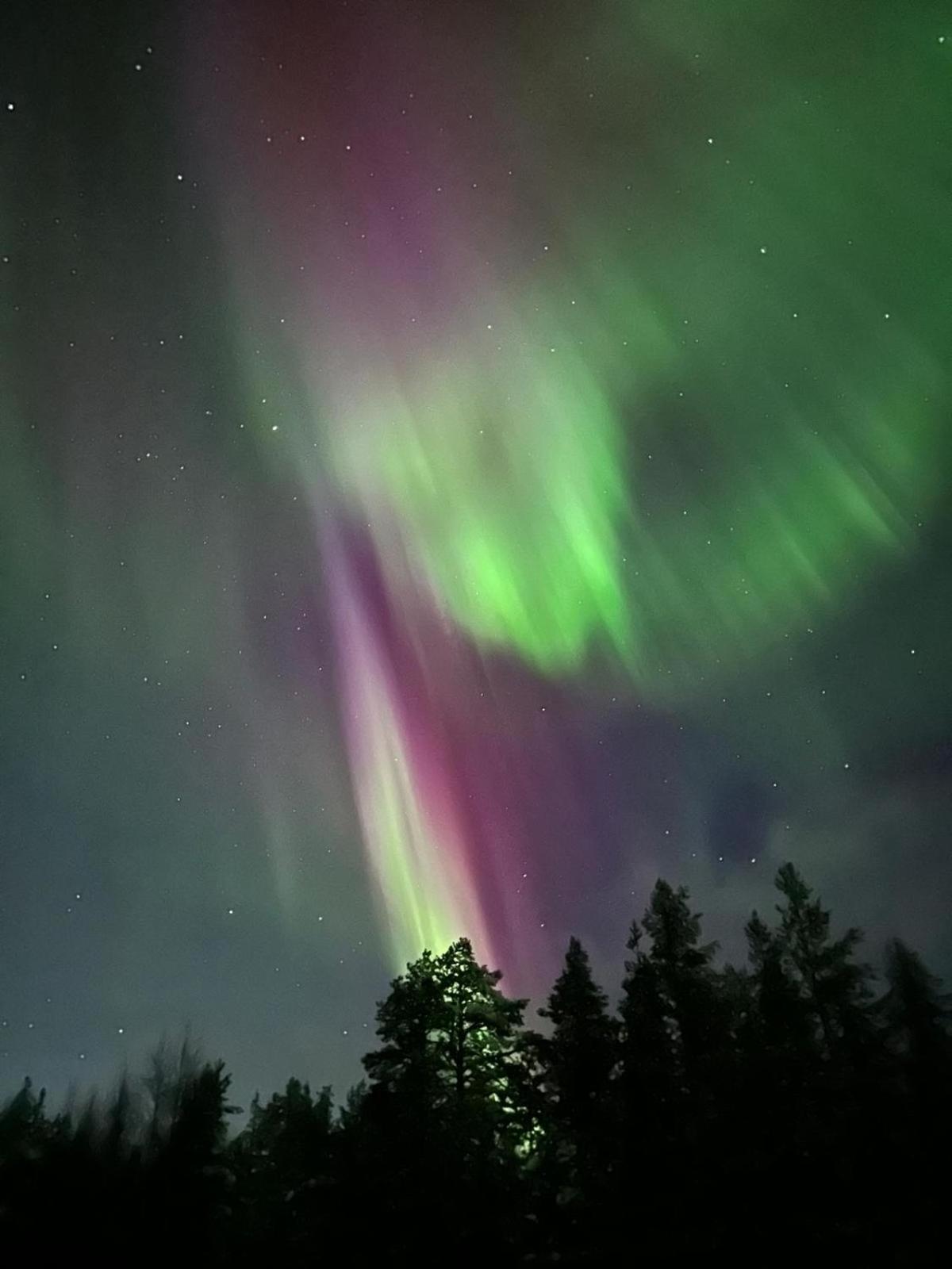 Villa Uuttu *