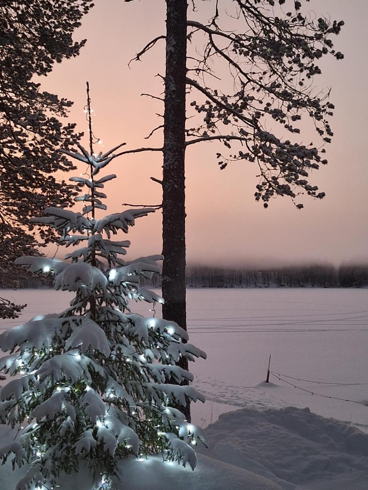 Uuttu Villa *